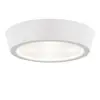 Потолочный светодиодный светильник Lightstar Urbano 214904