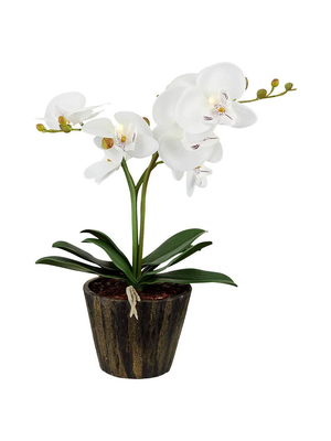 Настольная лампа Globo Flowerpower 28002