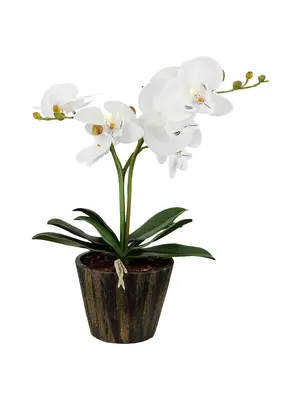 Настольная лампа Globo Flowerpower 28002