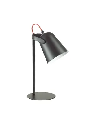 Настольная лампа Lumion Kenny 3651/1T