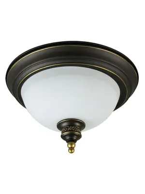 Потолочный светильник Arte Lamp Bonito A9518PL-2BA