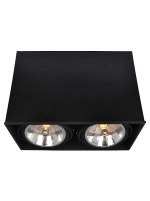 Потолочный светильник Arte Lamp Cardani A5936PL-2BK