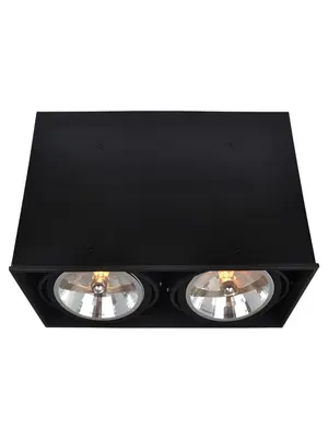 Потолочный светильник Arte Lamp Cardani A5936PL-2BK