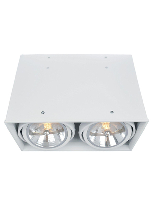 Потолочный светильник Arte Lamp Cardani A5936PL-2WH