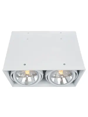 Потолочный светильник Arte Lamp Cardani A5936PL-2WH