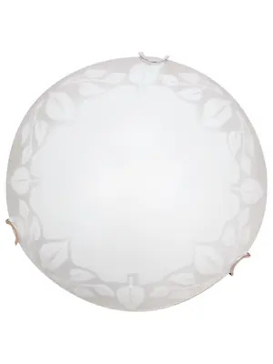 Настенный светильник Arte Lamp Leaves A4020PL-1CC