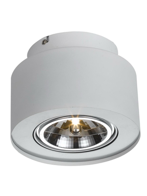 Потолочный светильник Arte Lamp Cliff A5643PL-1WH
