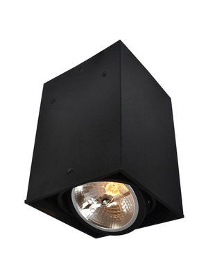 Потолочный светильник Arte Lamp Cardani A5936PL-1BK