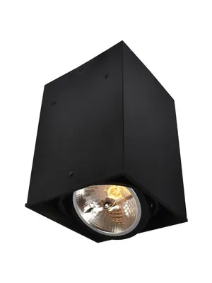 Потолочный светильник Arte Lamp Cardani A5936PL-1BK
