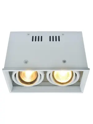 Потолочный светильник Arte Lamp Cardani A5942PL-2WH