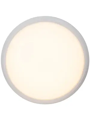 Потолочный светильник Brilliant Vigor G94141/05