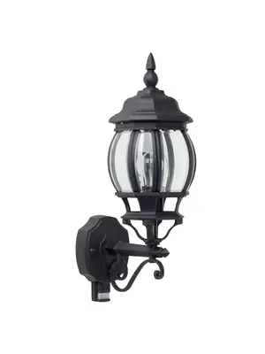 Уличный настенный светильник Brilliant Istria 48697/06