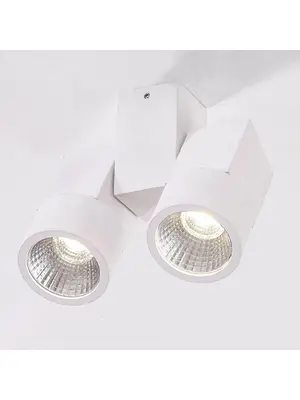 Потолочный светодиодный светильник Citilux Дубль CL556100