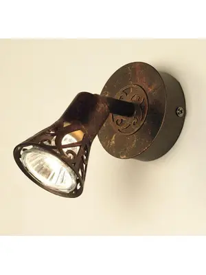 Спот Citilux Винон CL519514