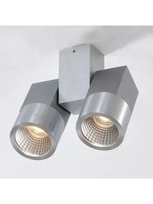 Потолочный светодиодный светильник Citilux Дубль CL556101