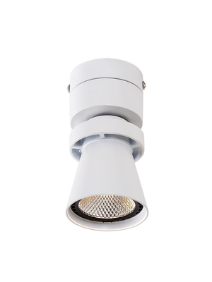 Потолочный светодиодный светильник Citilux Дубль-1 CL556510