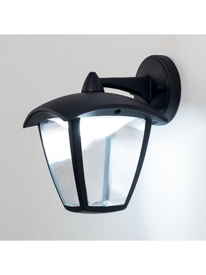 Уличный настенный светодиодный светильник Citilux CLU04W2