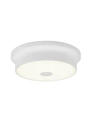Потолочный светодиодный светильник Citilux Фостер-2 CL706210