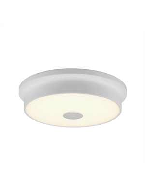 Потолочный светодиодный светильник Citilux Фостер-2 CL706220