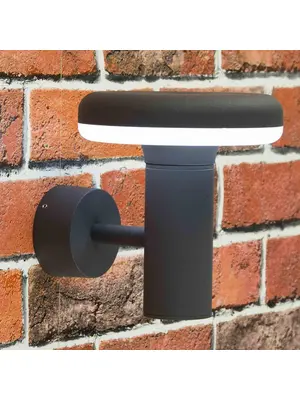 Уличный настенный светодиодный светильник Citilux CLU01W