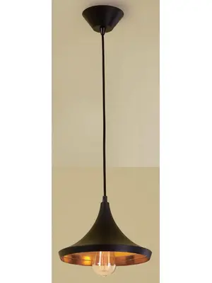 Подвесной светильник Citilux Эдисон CL450209