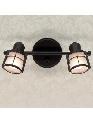 Спот Citilux Реймс CL563521
