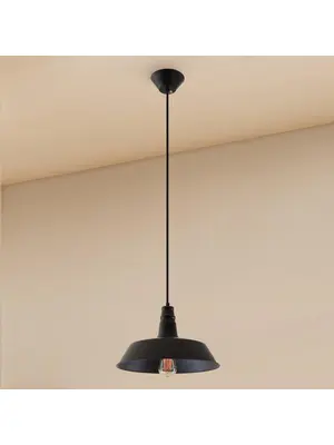 Подвесной светильник Citilux Эдисон CL450204