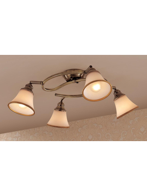 Спот Citilux Прованс CL511143
