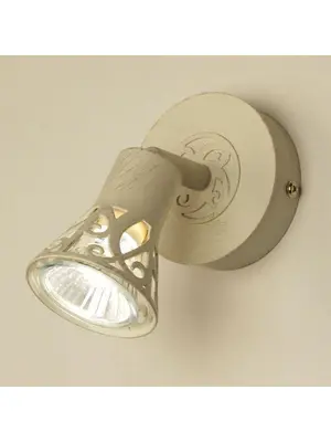 Спот Citilux Винон CL519515