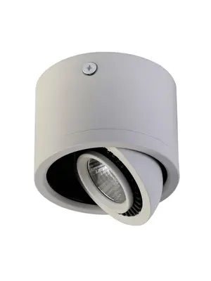 Потолочный светодиодный светильник Favourite Reflector 1775-1C