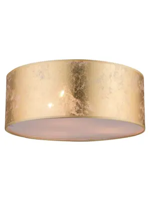 Потолочный светильник Globo Amy 15187D