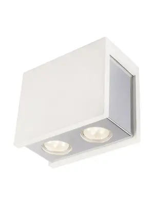 Потолочный светильник Globo Christine 55010-2D