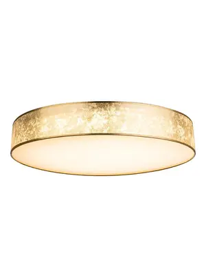 Потолочный светодиодный светильник Globo Amy 15187D5