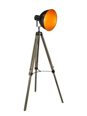 Торшер Globo Evy 58288