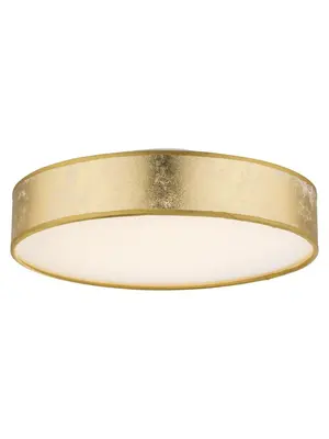 Потолочный светодиодный светильник Globo Amy 15187D1