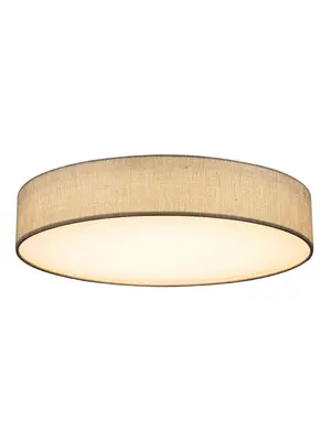 Потолочный светодиодный светильник Globo Paco 15185D5