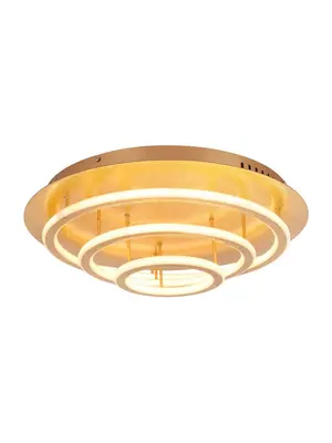 Потолочный светодиодный светильник Globo Arryn 49252-100G