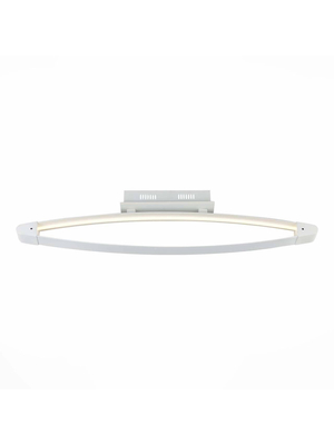 Потолочный светодиодный светильник ST Luce SL920.102.01