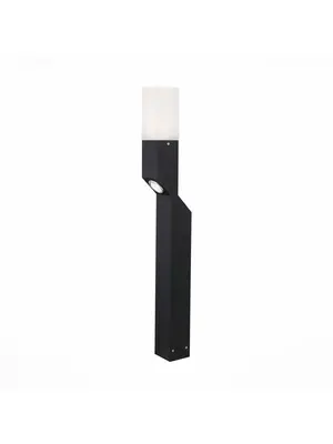 Уличный светодиодный светильник ST Luce SL100.405.02