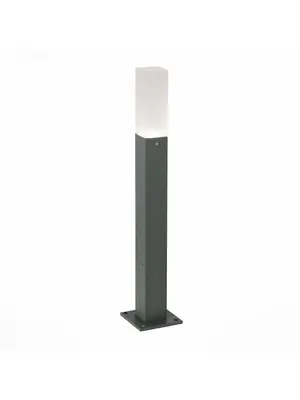 Уличный светодиодный светильник ST Luce SL101.705.01
