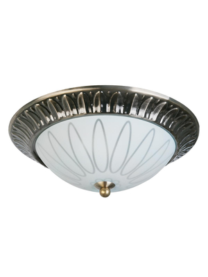 Накладной светильник Toplight Paulina TL5050Y-02AB