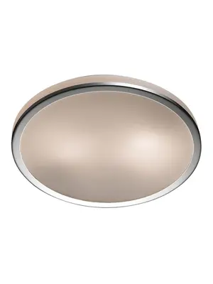 Потолочный светильник Odeon Light Yun 2177/2C