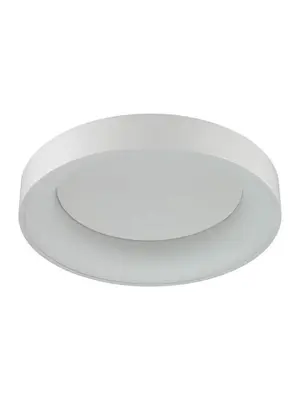 Потолочный светодиодный светильник Odeon Light Sole 4062/50CL