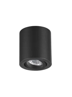 Потолочный светильник Odeon Light Tuborino 3568/1C