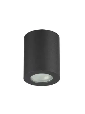 Потолочный светильник Odeon Light Aquana 3572/1C