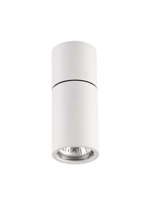 Потолочный светильник Odeon Light Duetta 3582/1C