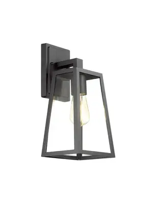Уличный настенный светильник Odeon Light Clod 4169/1W