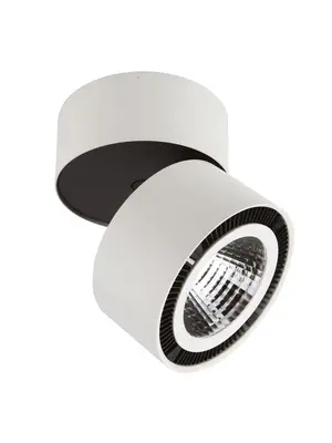 Потолочный светодиодный светильник Lightstar Forte Muro 214830