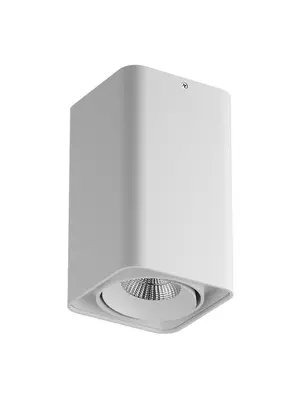 Потолочный светодиодный светильник Lightstar Monocco 052136