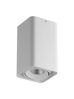 Потолочный светильник Lightstar Monocco 212536